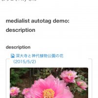 アルバムを表示